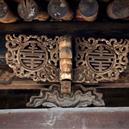 Plants: image 2 0f 4 thumb