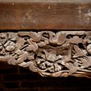 Plants: image 2 0f 4 thumb