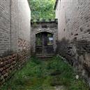 Plants: image 2 0f 4 thumb