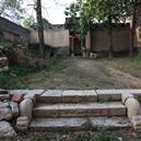 Plants: image 2 0f 4 thumb