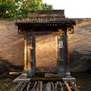 Plants: image 2 0f 4 thumb