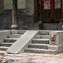 Plants: image 2 0f 4 thumb