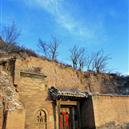 Plants: image 2 0f 4 thumb