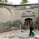 Plants: image 2 0f 4 thumb