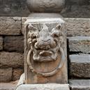 Plants: image 2 0f 4 thumb