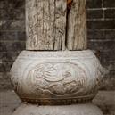 Plants: image 2 0f 4 thumb