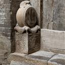 Plants: image 2 0f 4 thumb