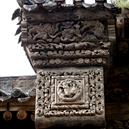 Plants: image 2 0f 4 thumb