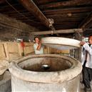 Plants: image 2 0f 4 thumb