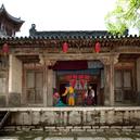 Plants: image 2 0f 4 thumb