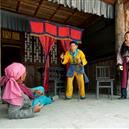 Plants: image 2 0f 4 thumb