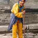 Plants: image 2 0f 4 thumb