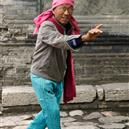 Plants: image 2 0f 4 thumb