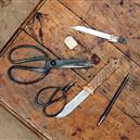 Plants: image 2 0f 4 thumb