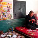 Plants: image 2 0f 4 thumb