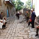 Plants: image 2 0f 4 thumb