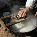 Plants: image 2 0f 4 thumb