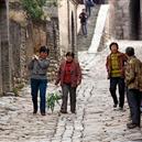 Plants: image 2 0f 4 thumb