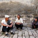 Plants: image 2 0f 4 thumb