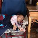 Plants: image 2 0f 4 thumb