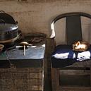 Plants: image 2 0f 4 thumb