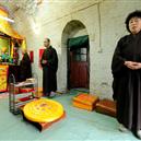 Plants: image 2 0f 4 thumb