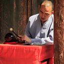 Plants: image 2 0f 4 thumb