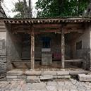 Plants: image 2 0f 4 thumb