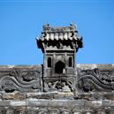 Plants: image 2 0f 4 thumb