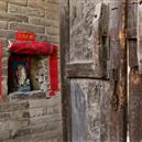 Plants: image 2 0f 4 thumb