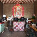 Plants: image 2 0f 4 thumb