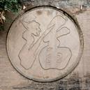 Plants: image 2 0f 4 thumb