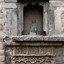 Plants: image 2 0f 4 thumb