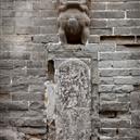 Plants: image 2 0f 4 thumb