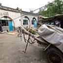 Plants: image 2 0f 4 thumb