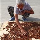 Plants: image 2 0f 4 thumb