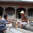 Plants: image 2 0f 4 thumb