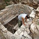 Plants: image 2 0f 4 thumb