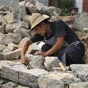 Plants: image 2 0f 4 thumb