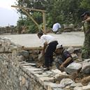 Plants: image 2 0f 4 thumb