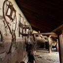 Plants: image 2 0f 4 thumb