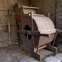 Plants: image 2 0f 4 thumb