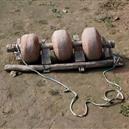 Plants: image 2 0f 4 thumb