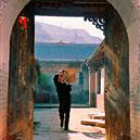 Plants: image 2 0f 4 thumb