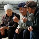 Plants: image 2 0f 4 thumb