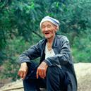 Plants: image 2 0f 4 thumb