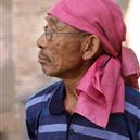 Plants: image 2 0f 4 thumb