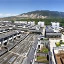 Plants: image 2 0f 4 thumb