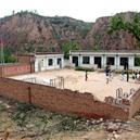 Plants: image 2 0f 4 thumb