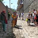 Plants: image 2 0f 4 thumb